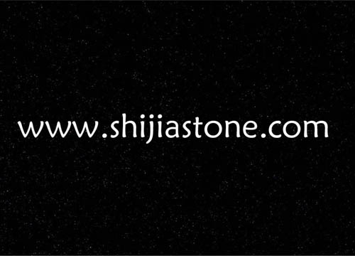 China Granite [Shanxi Black]